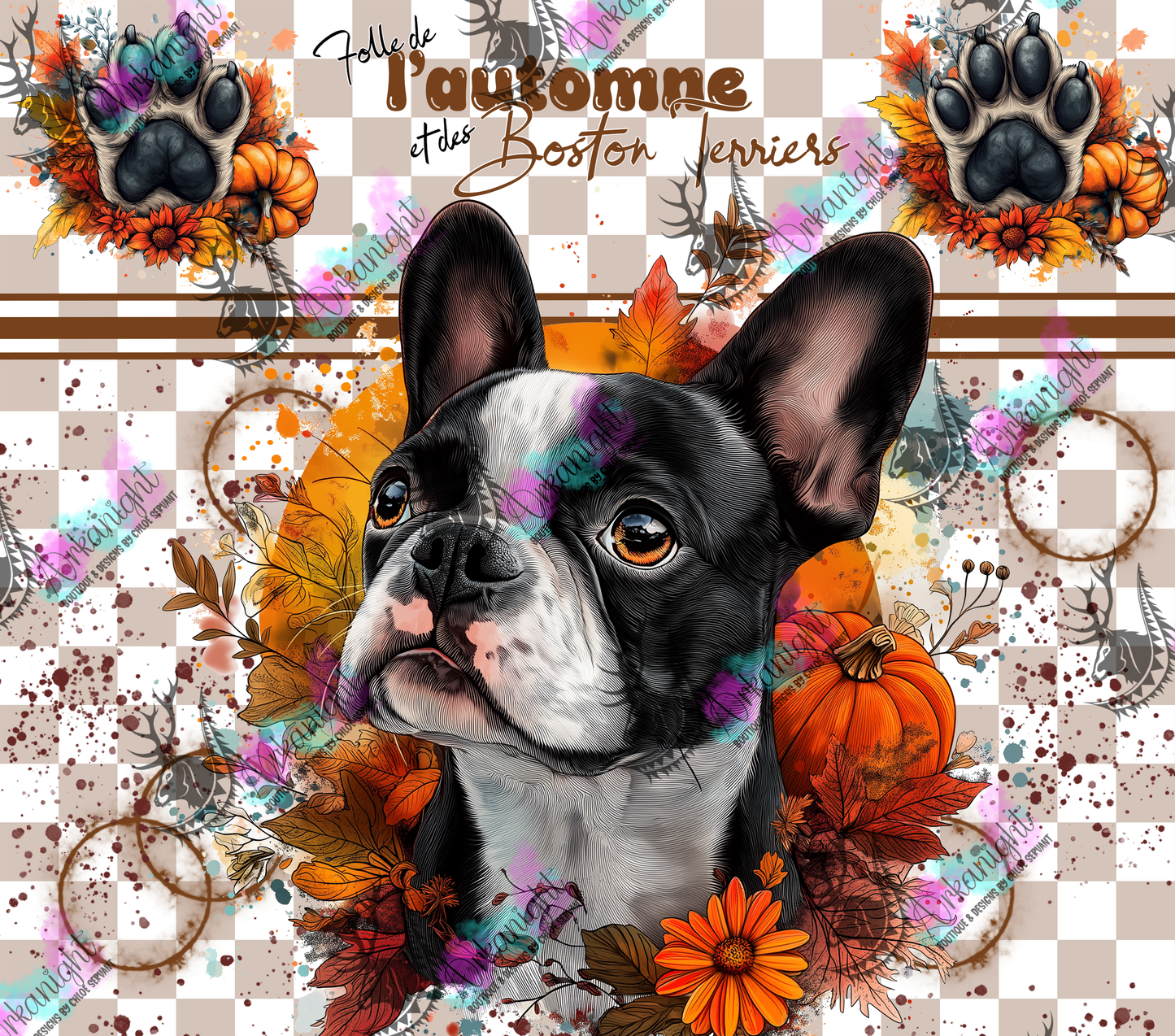 Numérique - Autumn 2024 - Boston Terrier