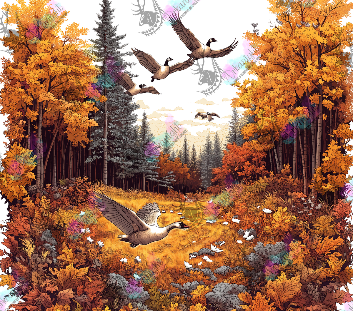 Numérique - Autumn 2024 - Hunting Gooses