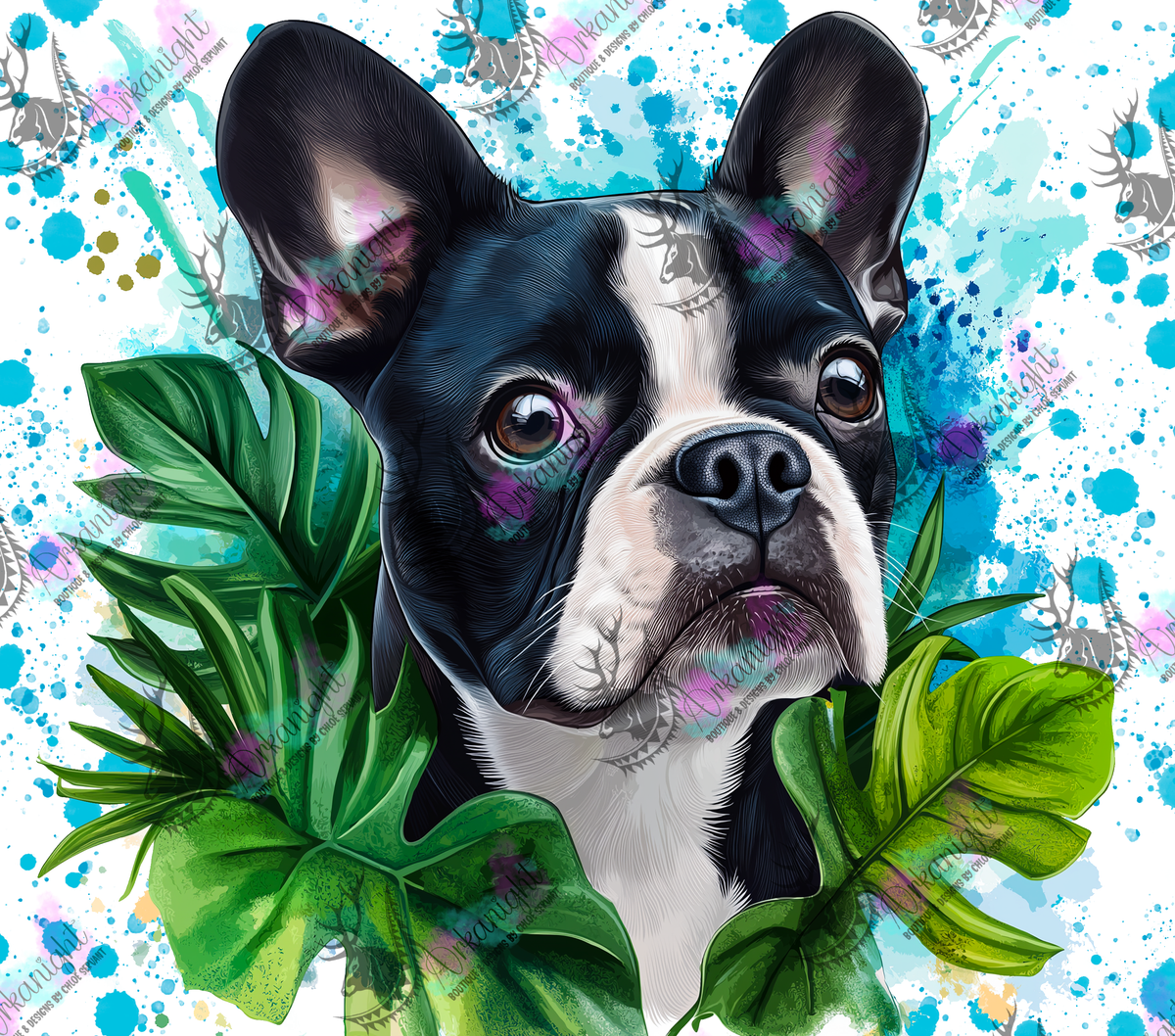 Numérique - Collection Watercolor Realism - Boston Terrier- 02