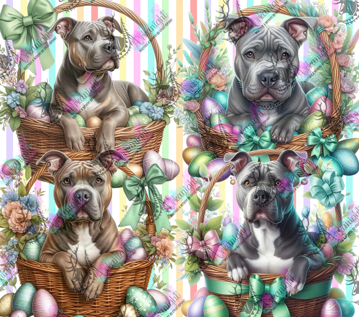 Numérique - Collection Pâques 2026 - Chiens - Pittbull