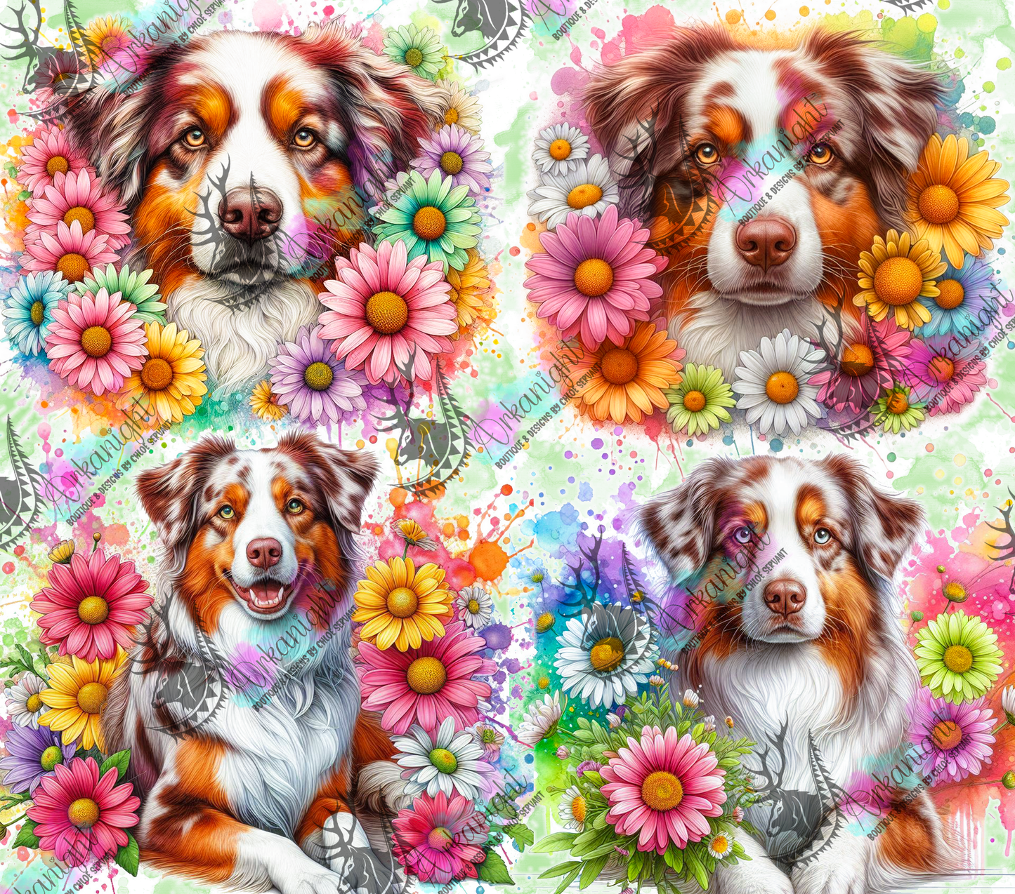 Numérique - Collection Vivid Colors & Flowers - Chien - Berger Australien Rouge Merle