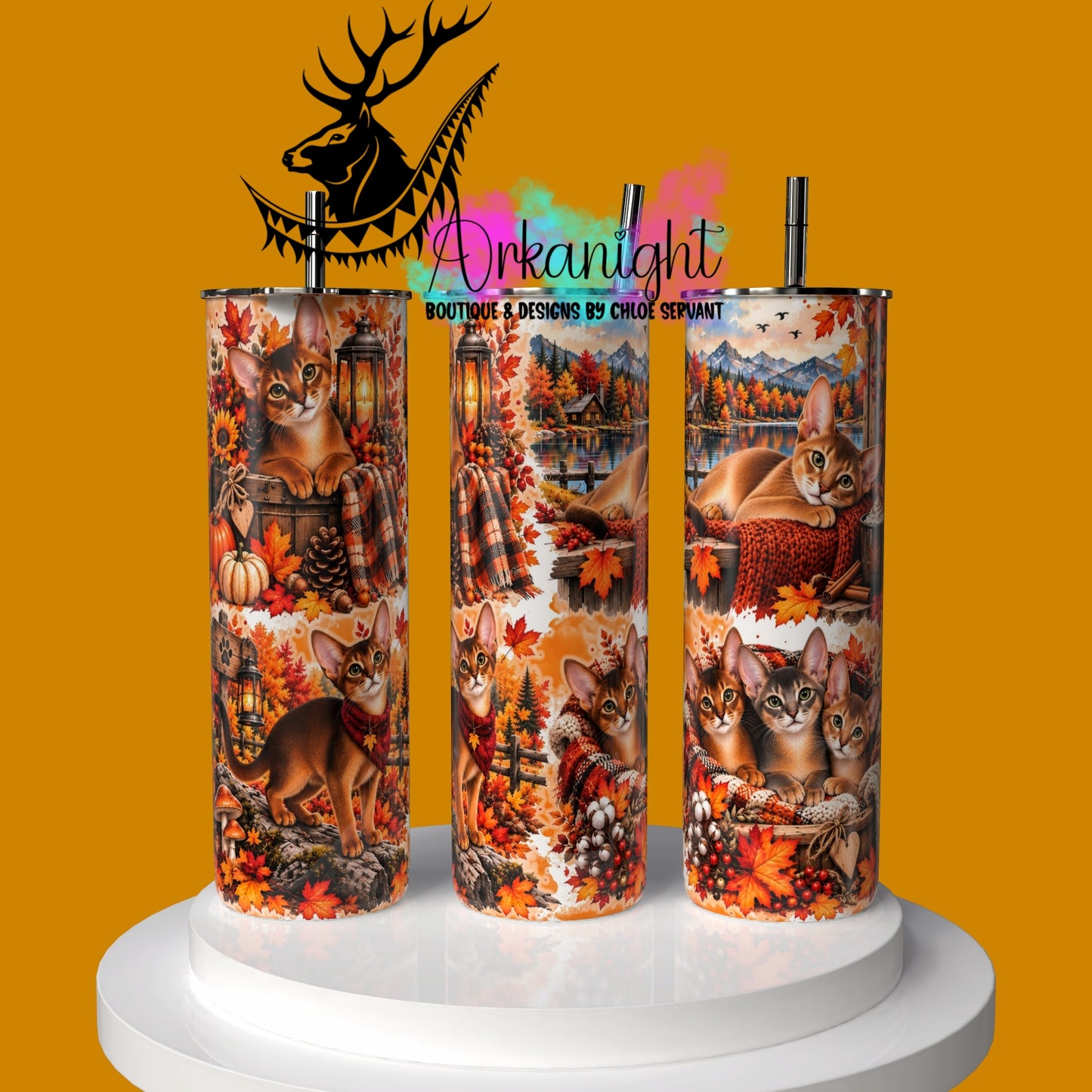 Gourde sur commande ♡ Collection Automne 2026 ♡ Chat Abyssin