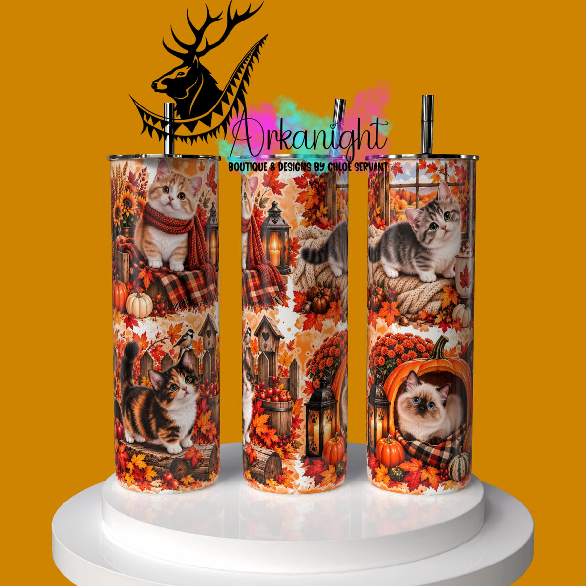 Gourde sur commande ♡ Collection Automne 2026 ♡ Chat Munchkins