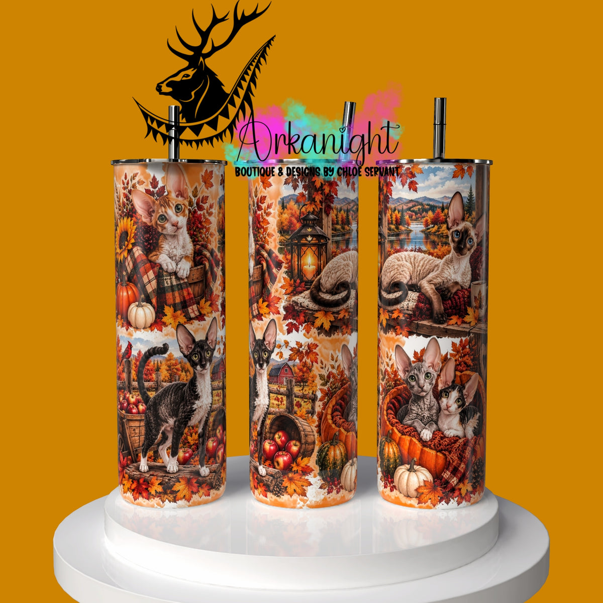 Gourde sur commande ♡ Collection Automne 2026 ♡ Chat Rex Cornish
