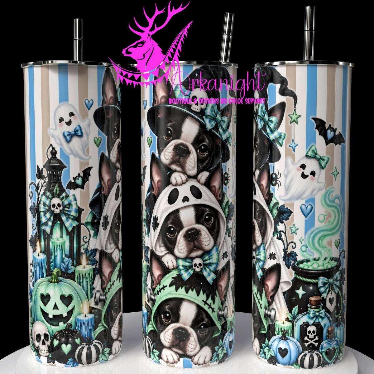 Gourde sur commande ♡ Collection Halloween 2026 ♡ Trio D'animaux ♡ Chien Boston terrier