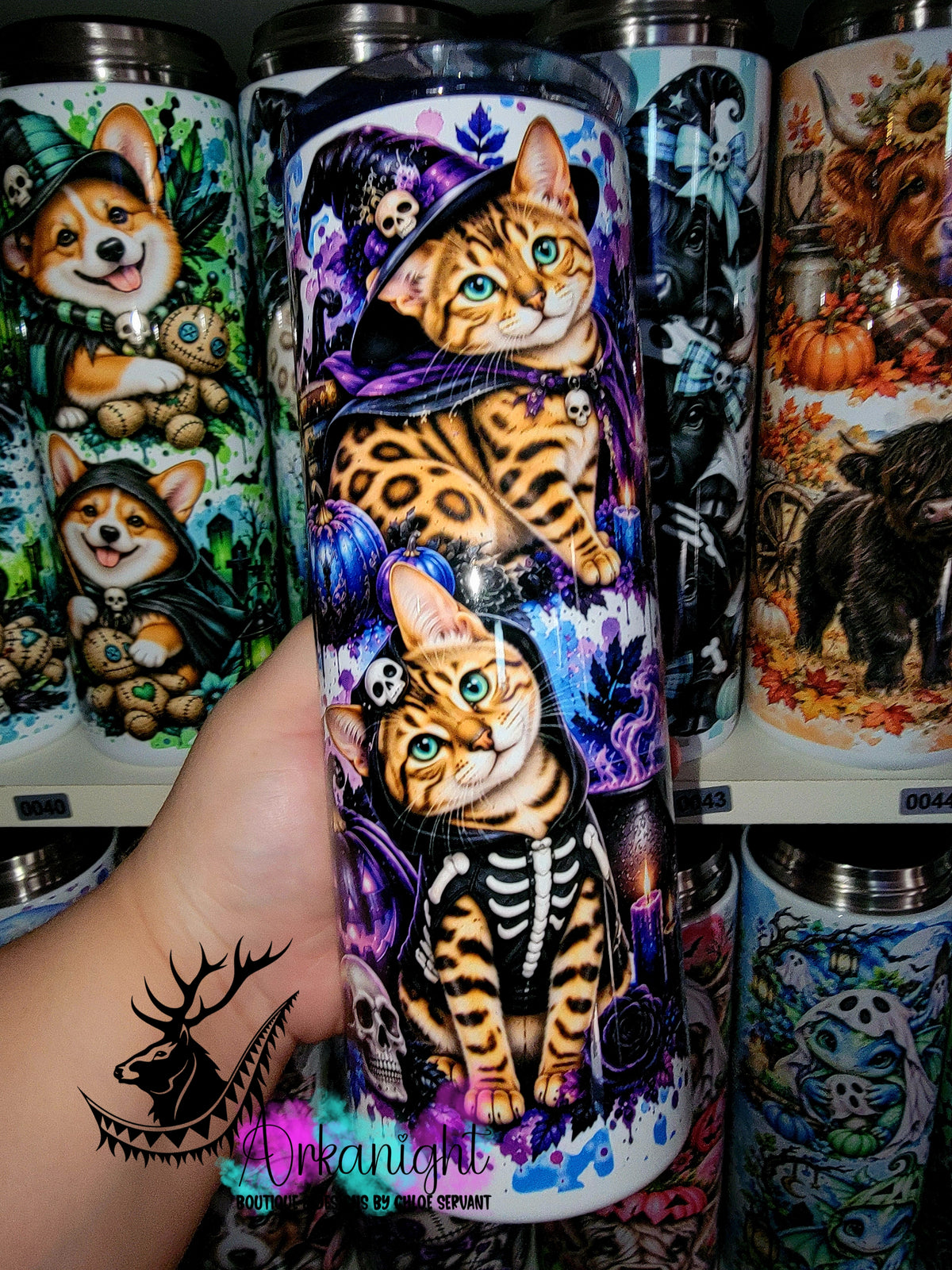 Gourde sur commande ♡ Collection Halloween 2026 ♡ Chats ♡ Bengal