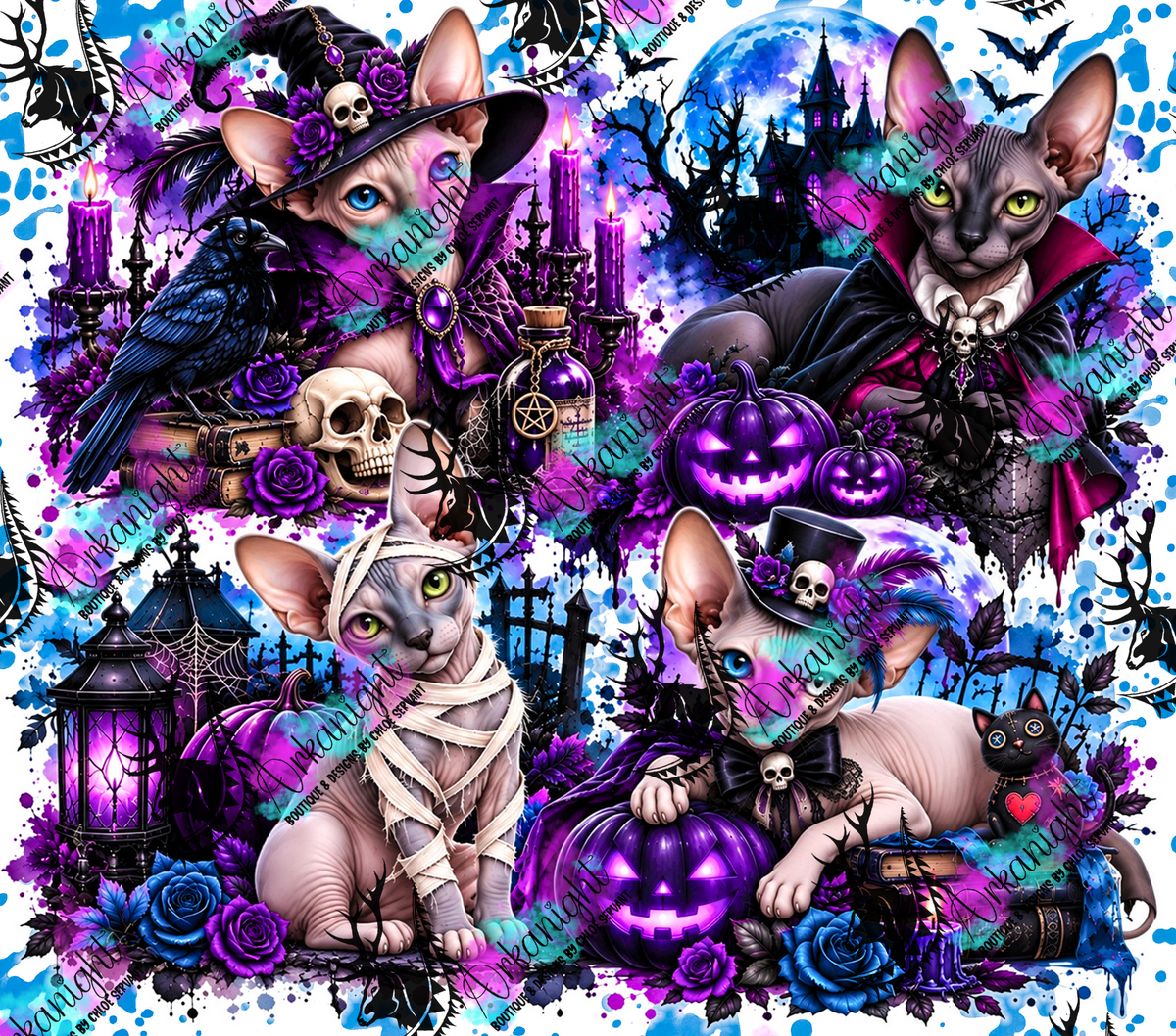 Numérique ♡Collection Halloween 2026 ♡ Chats ♡ Spynx