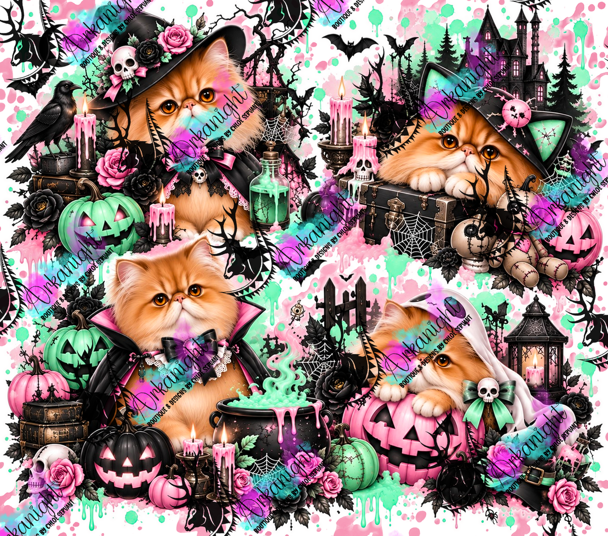 Numérique ♡Collection Halloween 2026 ♡ Chats ♡ Persan