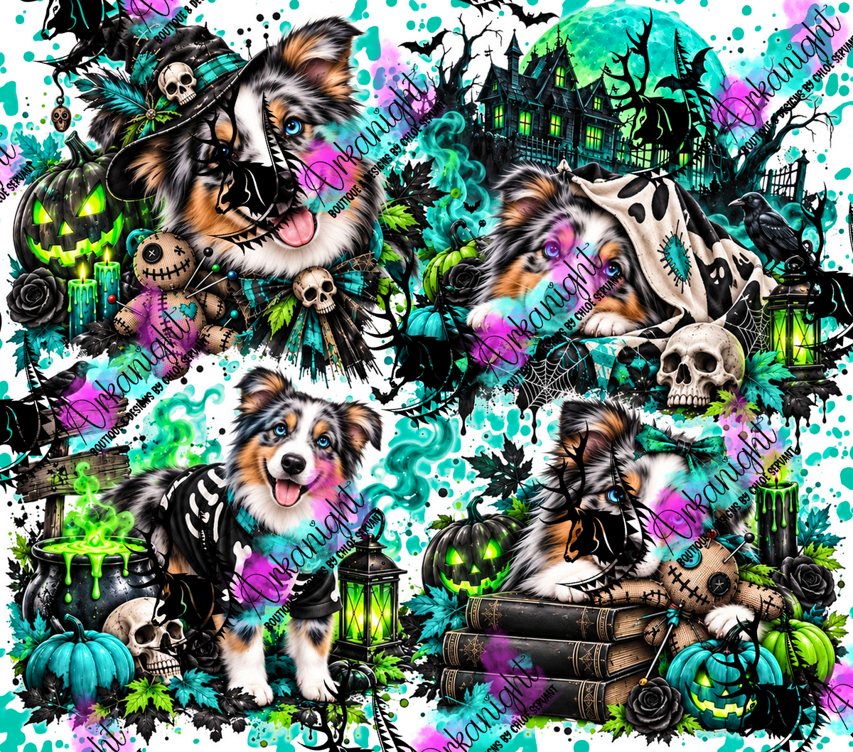 Numérique ♡Collection Halloween 2026 ♡ Chiens ♡ Berger Australien Bleu Merle