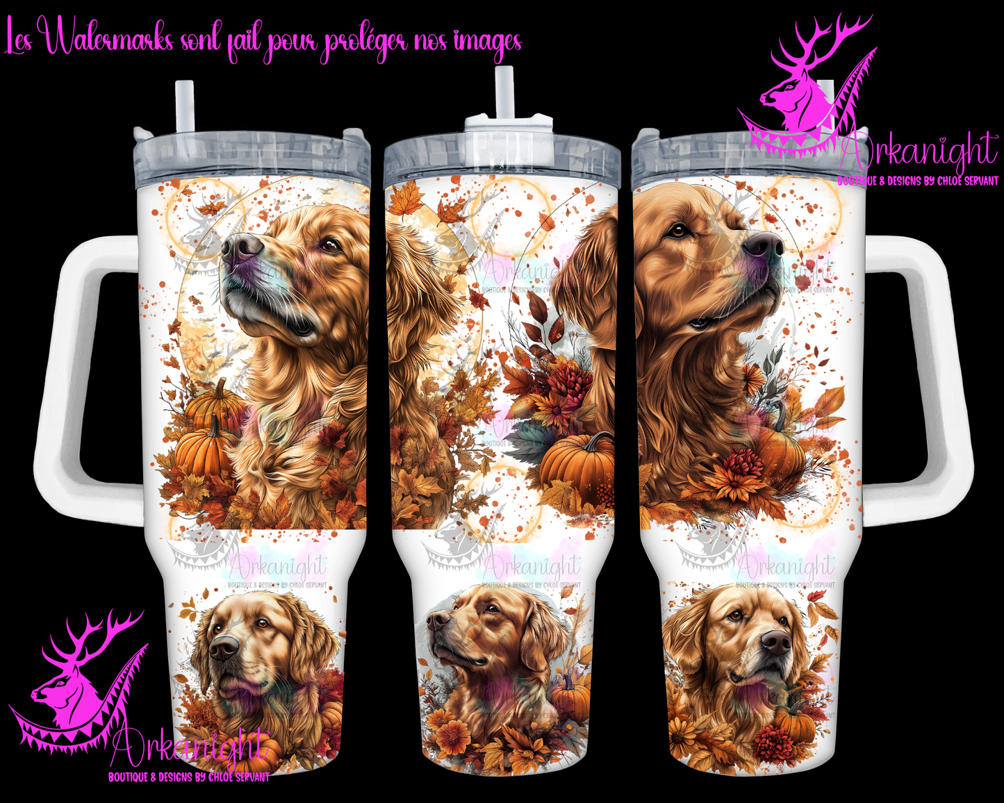 Numérique 40 oz - Autumn 2024 - Golden retriever