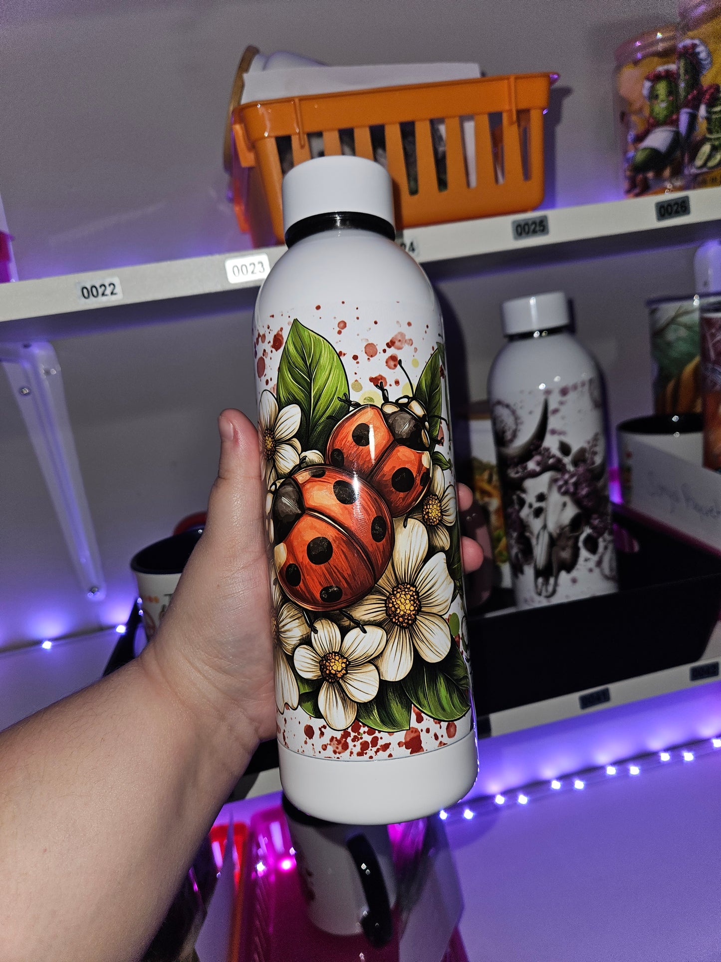 Bouteille d'eau 17 OZ - Isotherme - Ladybugs