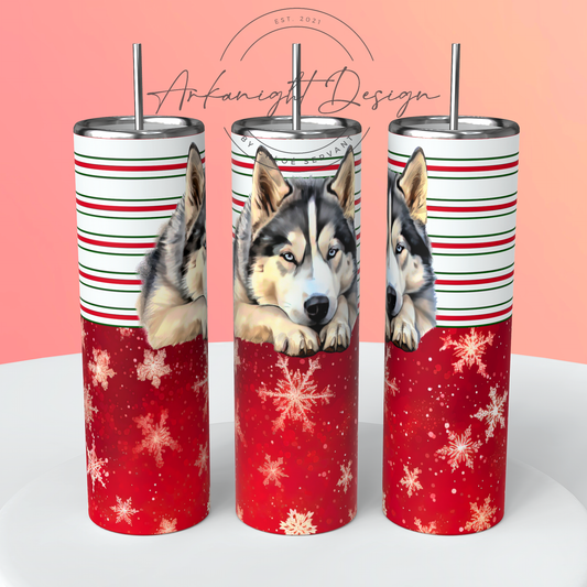 Siberian Husky - Christmas