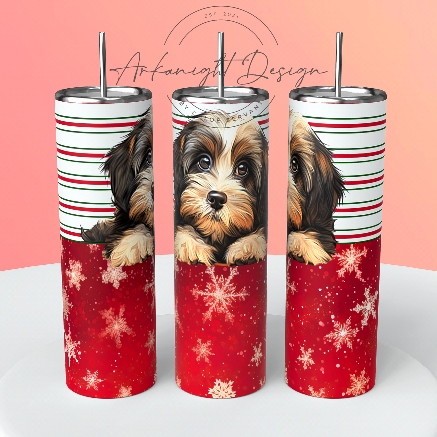 Havanese - Christmas
