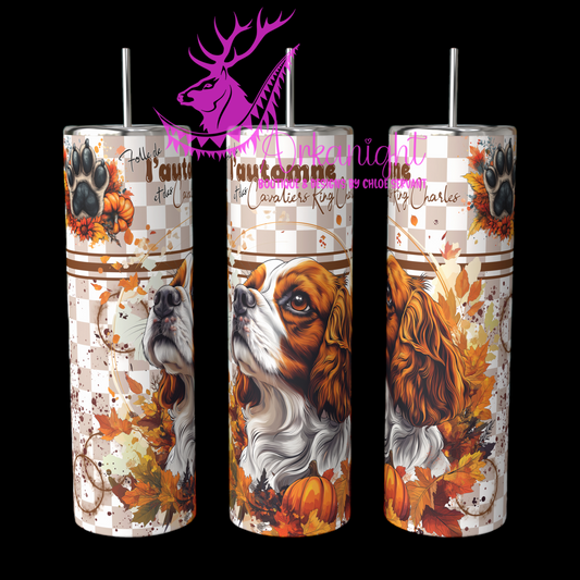 Gourde sur commande - Autumn 2024 - Cavalier King Charles
