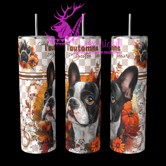 Numérique - Autumn 2024 - Boston Terrier