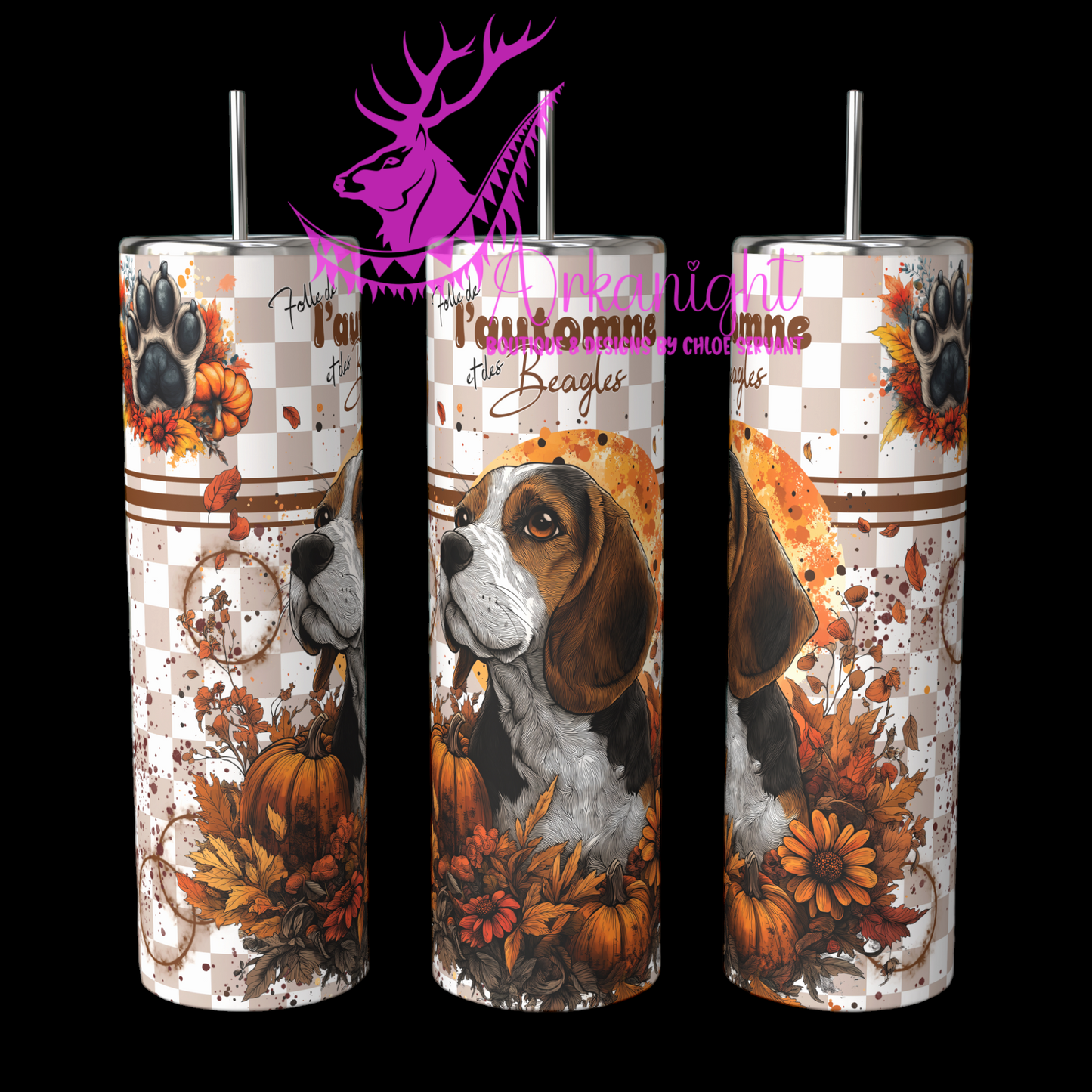 Numérique - Autumn 2024 - Beagle