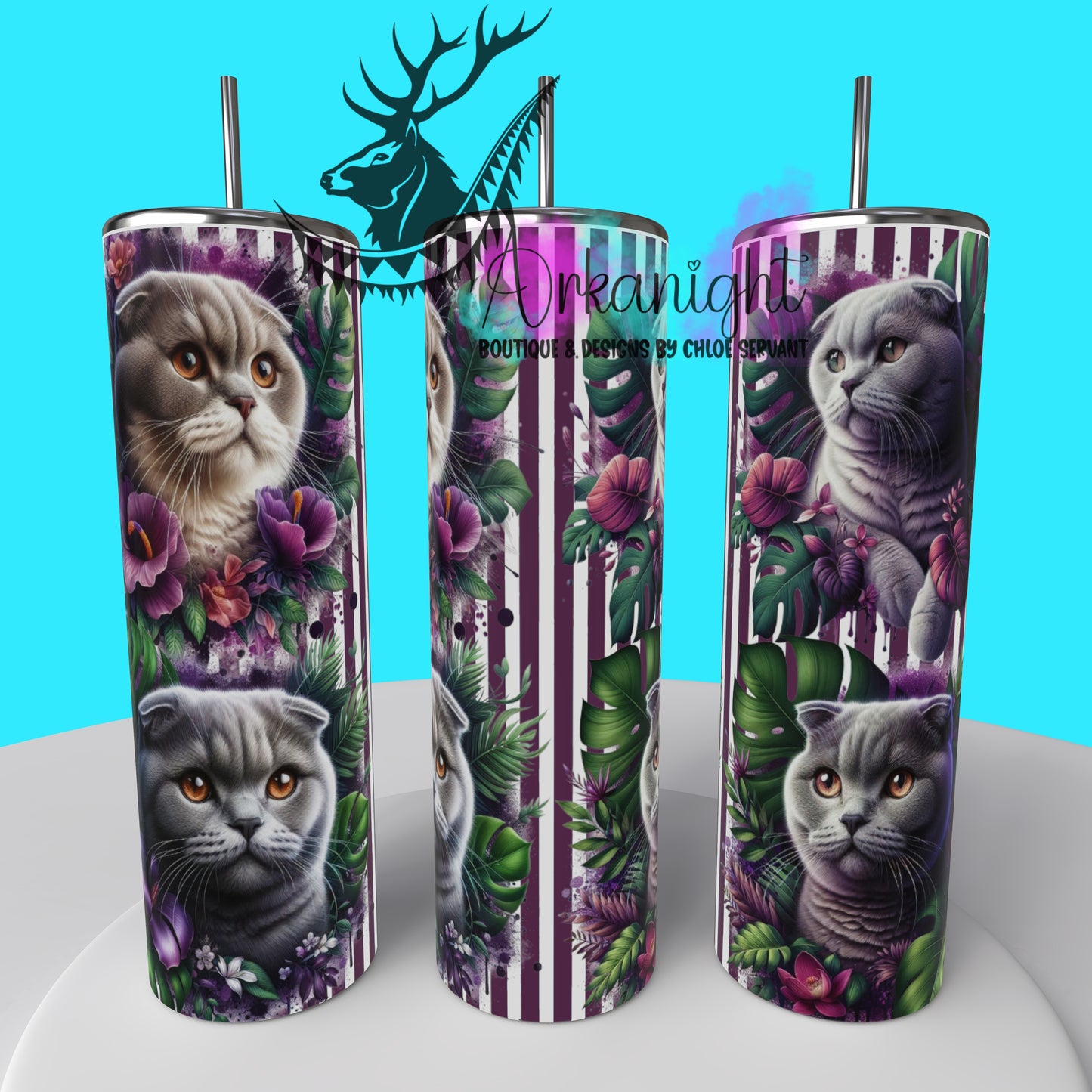 Numérique - Collection Monstera & Chat 2025 - Scottish fold