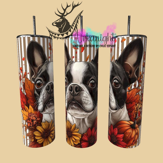 Gourde sur commande - Collection Automne 2025 - Boston Terrier