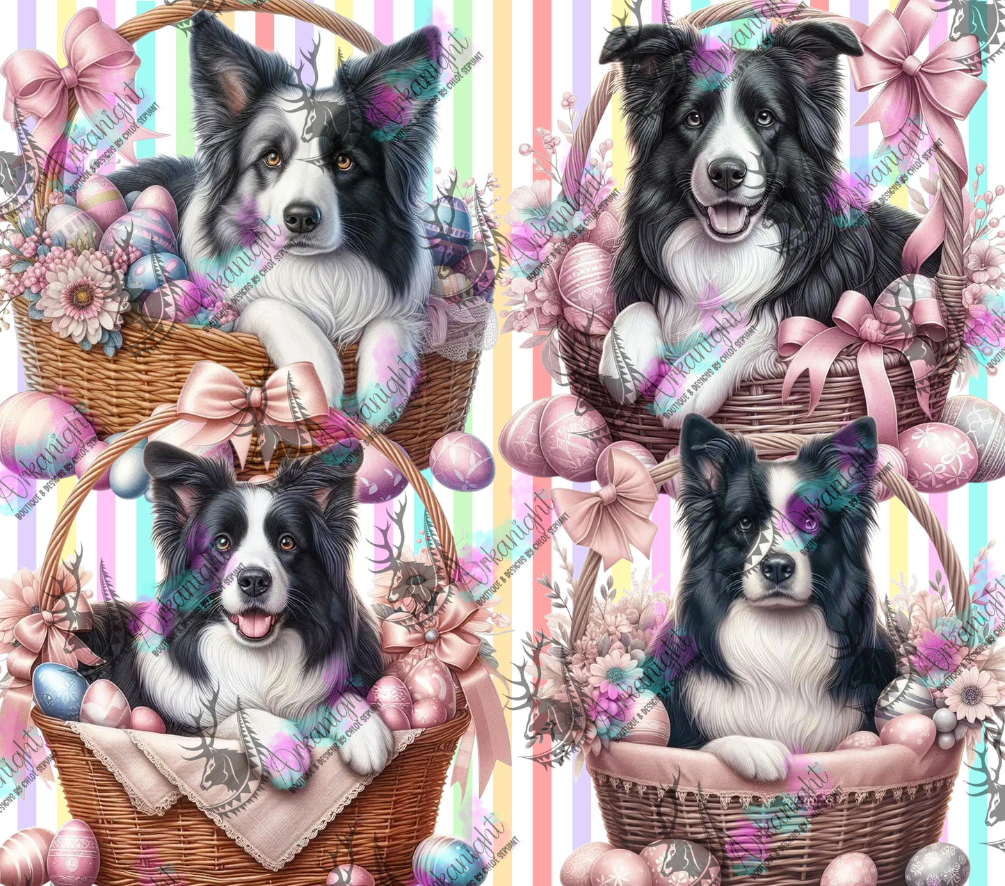 Numérique - Collection Pâques 2026 - Chiens - Border Collie