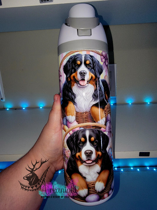Owala DUPE 24 oz sur commande - Collection Pâques - Bouvier Bernois