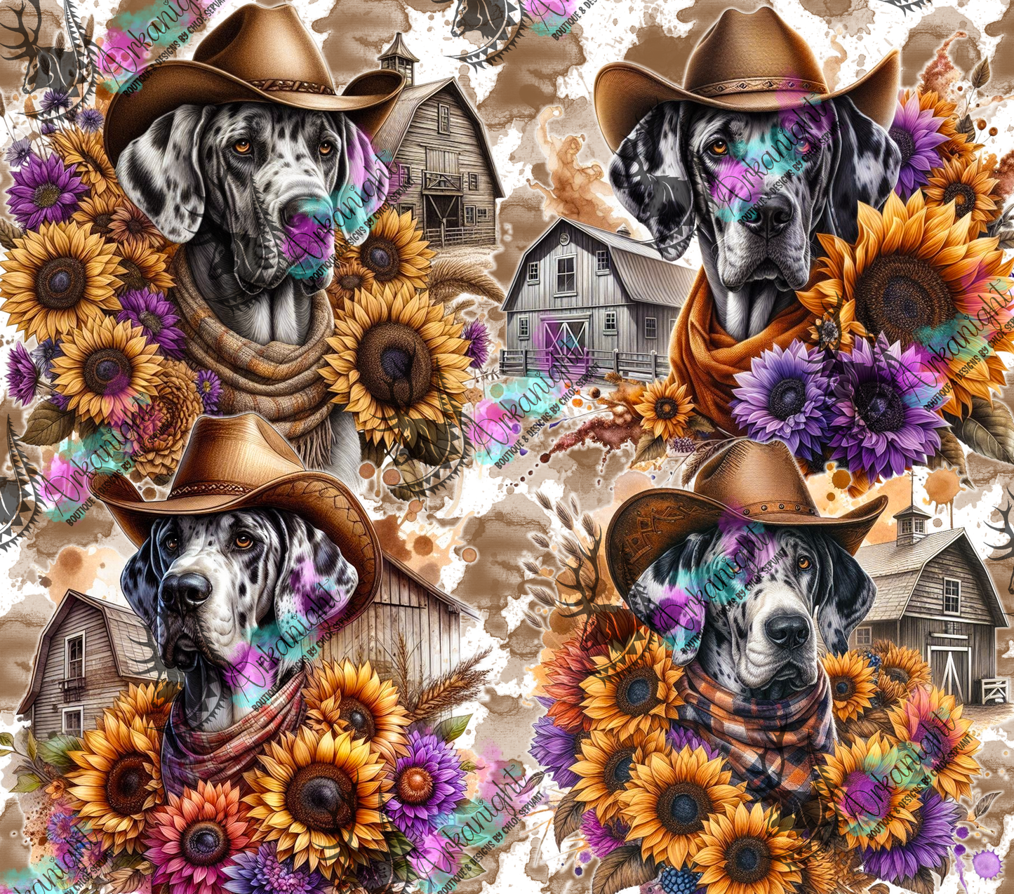 Numérique - Collection Western 2026 - Grand Danois