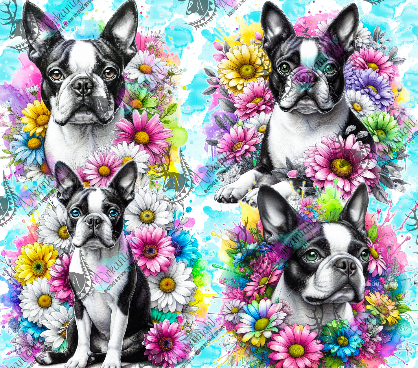 Numérique - Collection Vivid Colors & Flowers - Chien - Boston Terrier
