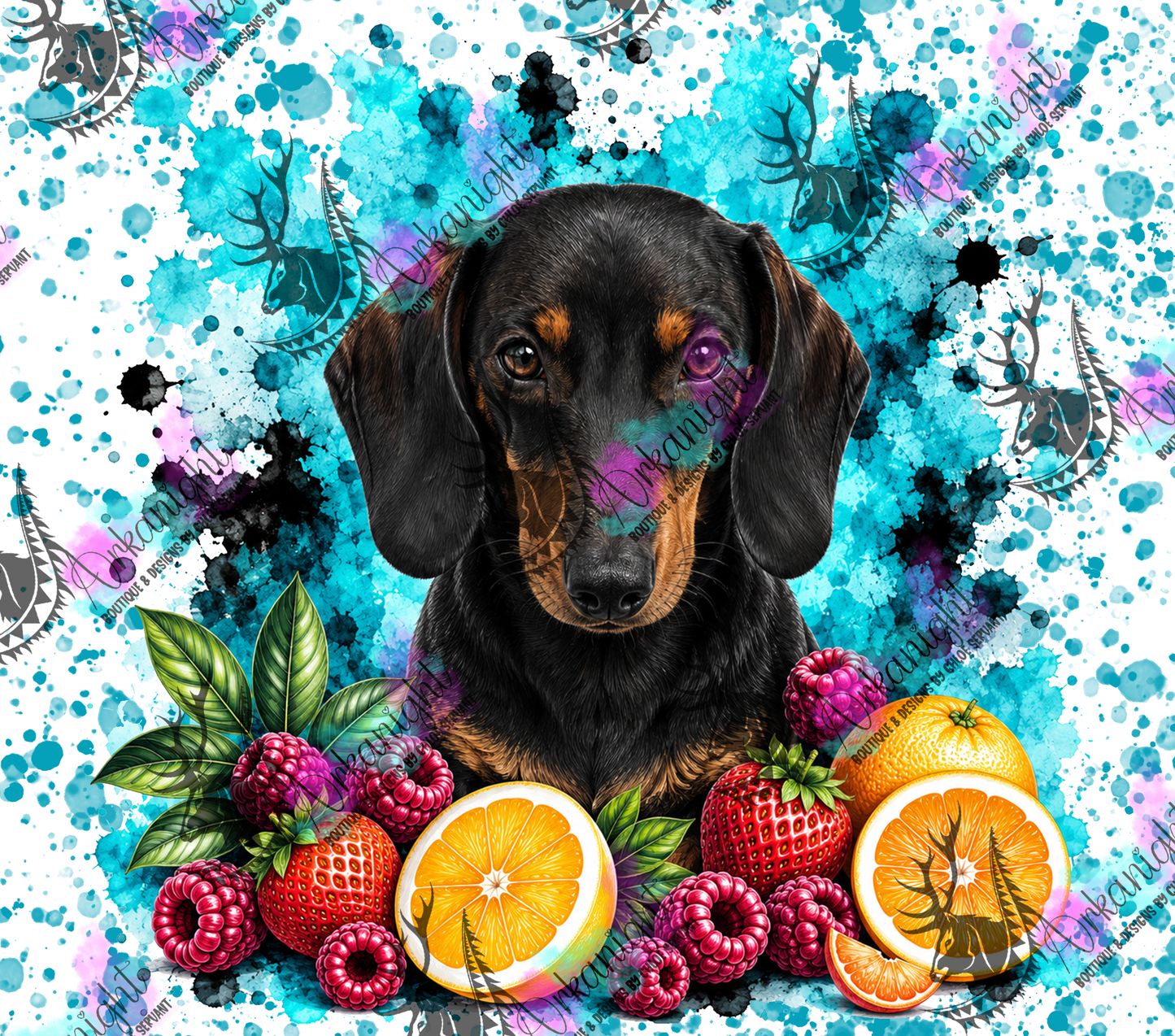 Collection Portrait : Turbo