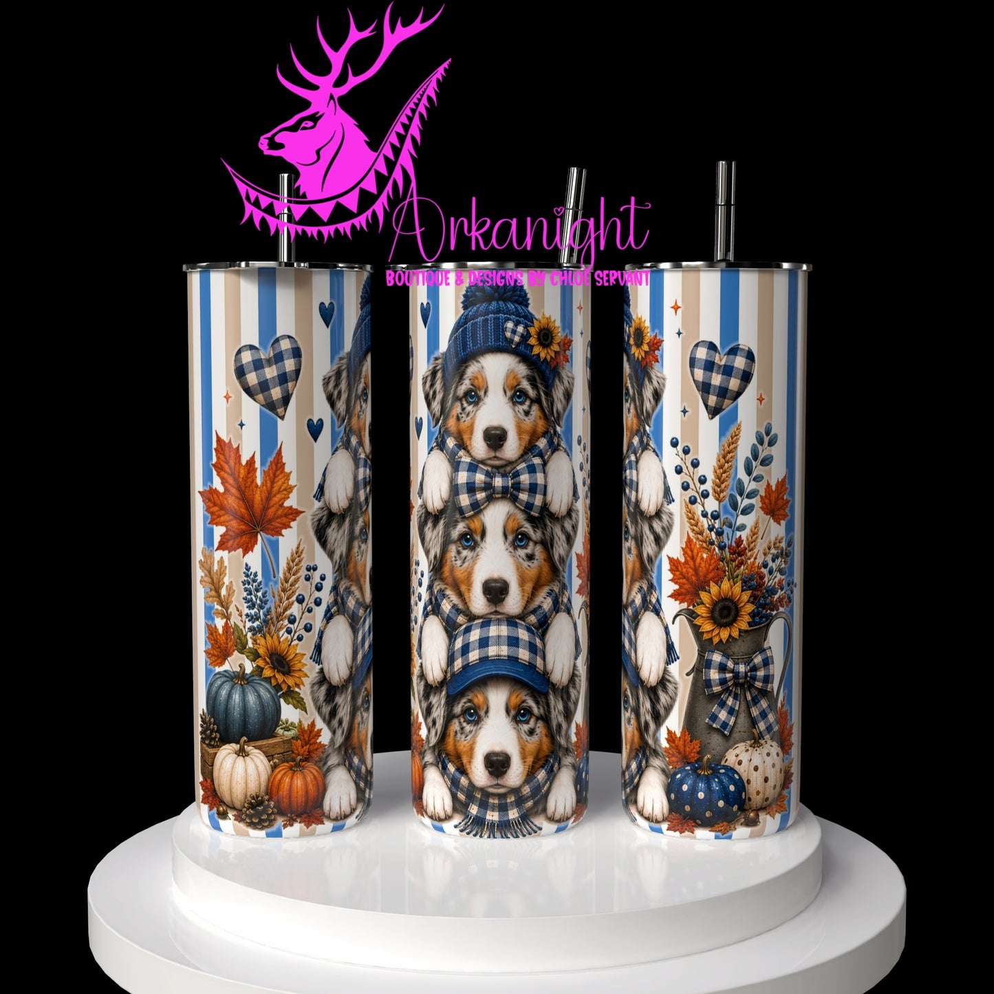 Numérique - Collection Automne 2026 - Trio Berger Australien Bleu Merle