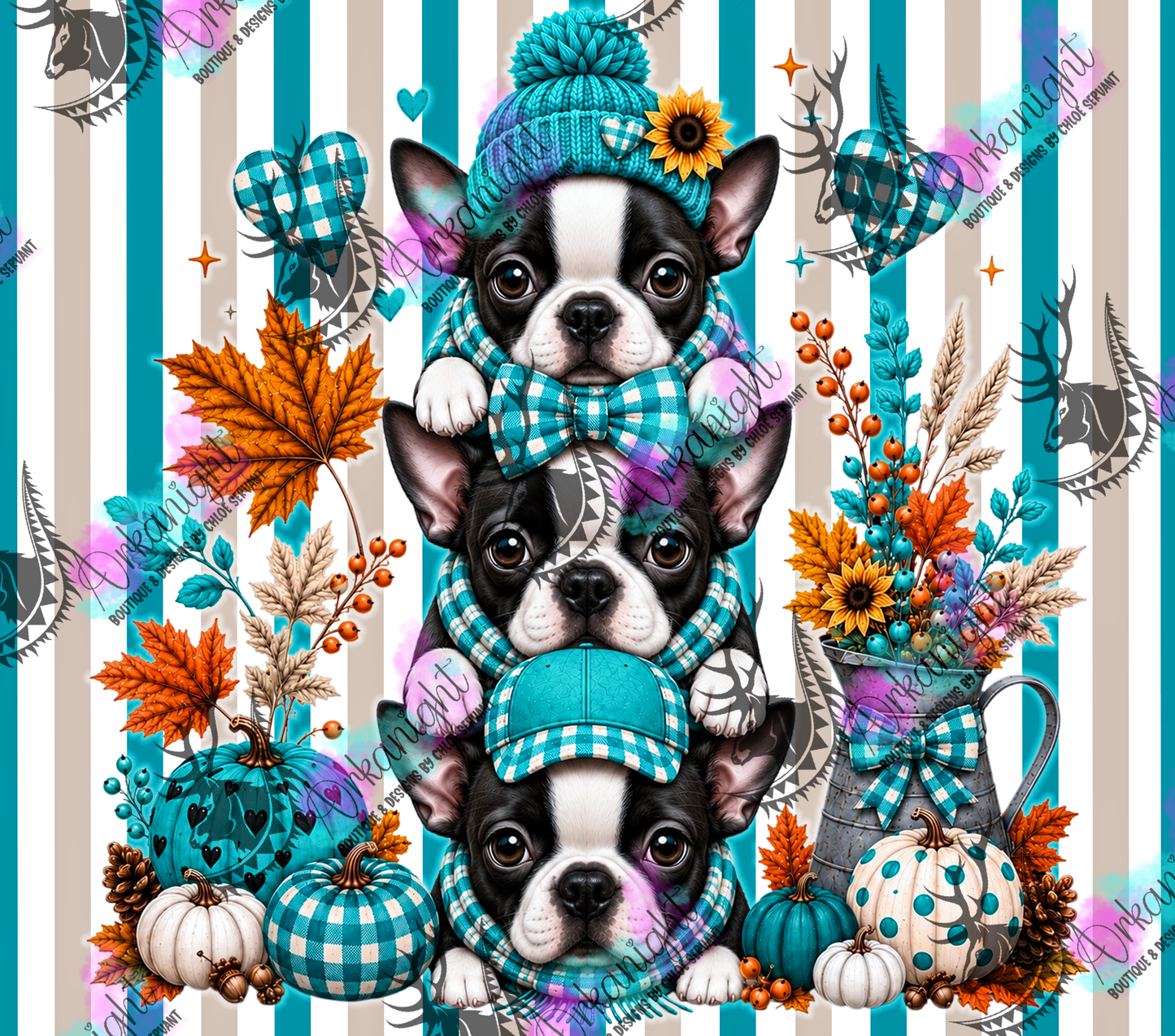 Numérique - Collection Automne 2026 - Trio Boston Terrier