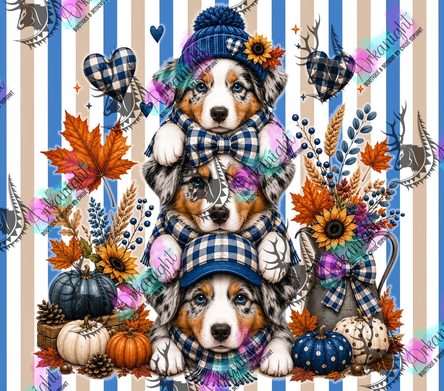 Numérique - Collection Automne 2026 - Trio Berger Australien Bleu Merle