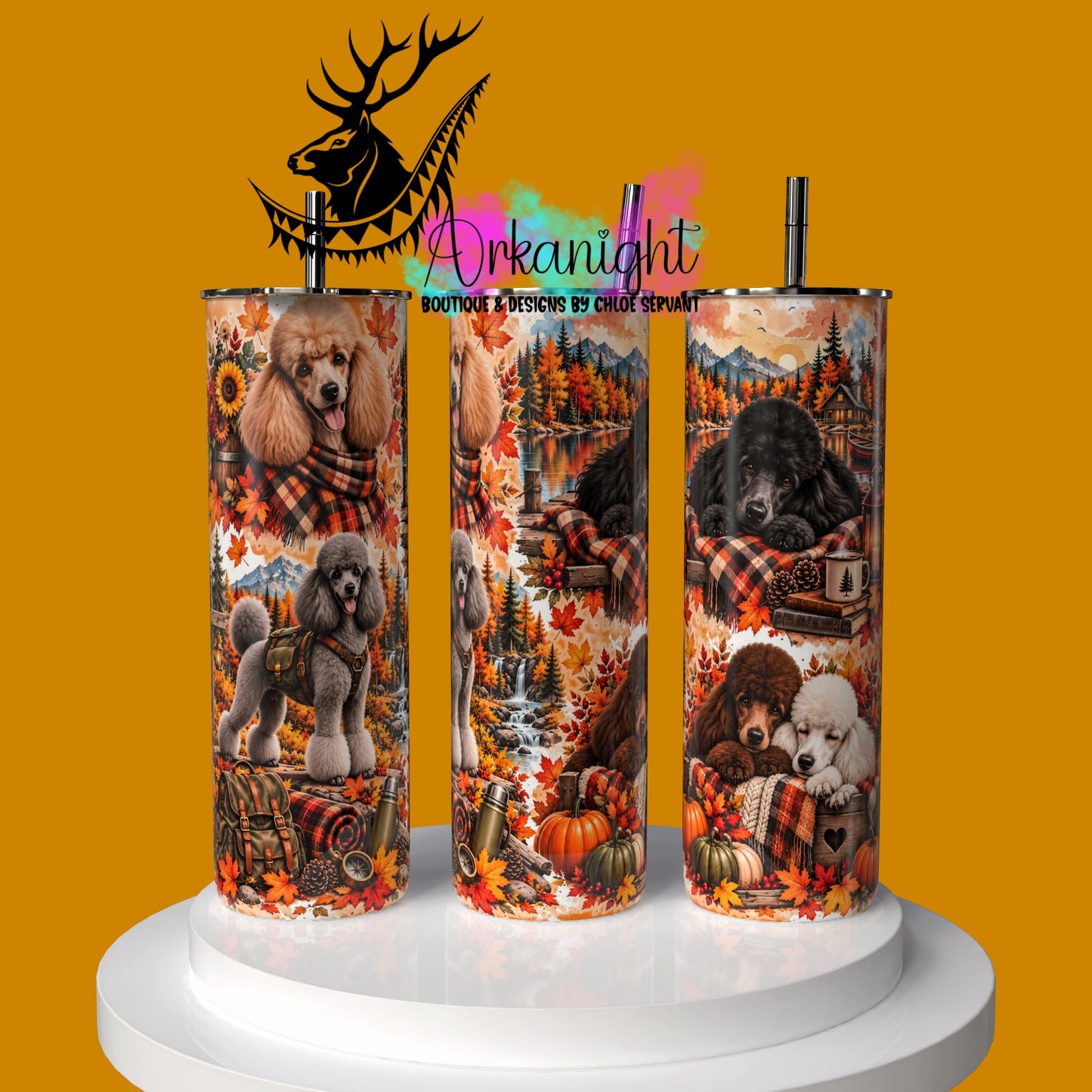 Numérique ♡Collection Automne 2026 ♡ Caniche Royale