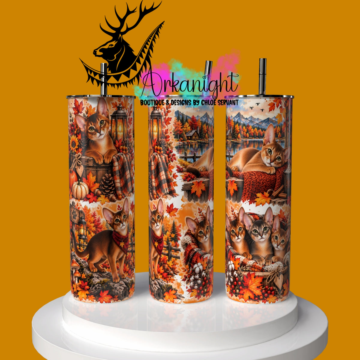 Gourde sur commande ♡ Collection Automne 2026 ♡ Chat Abyssin