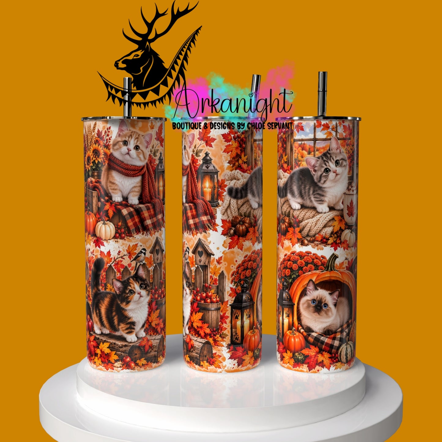Gourde sur commande ♡ Collection Automne 2026 ♡ Chat Munchkins