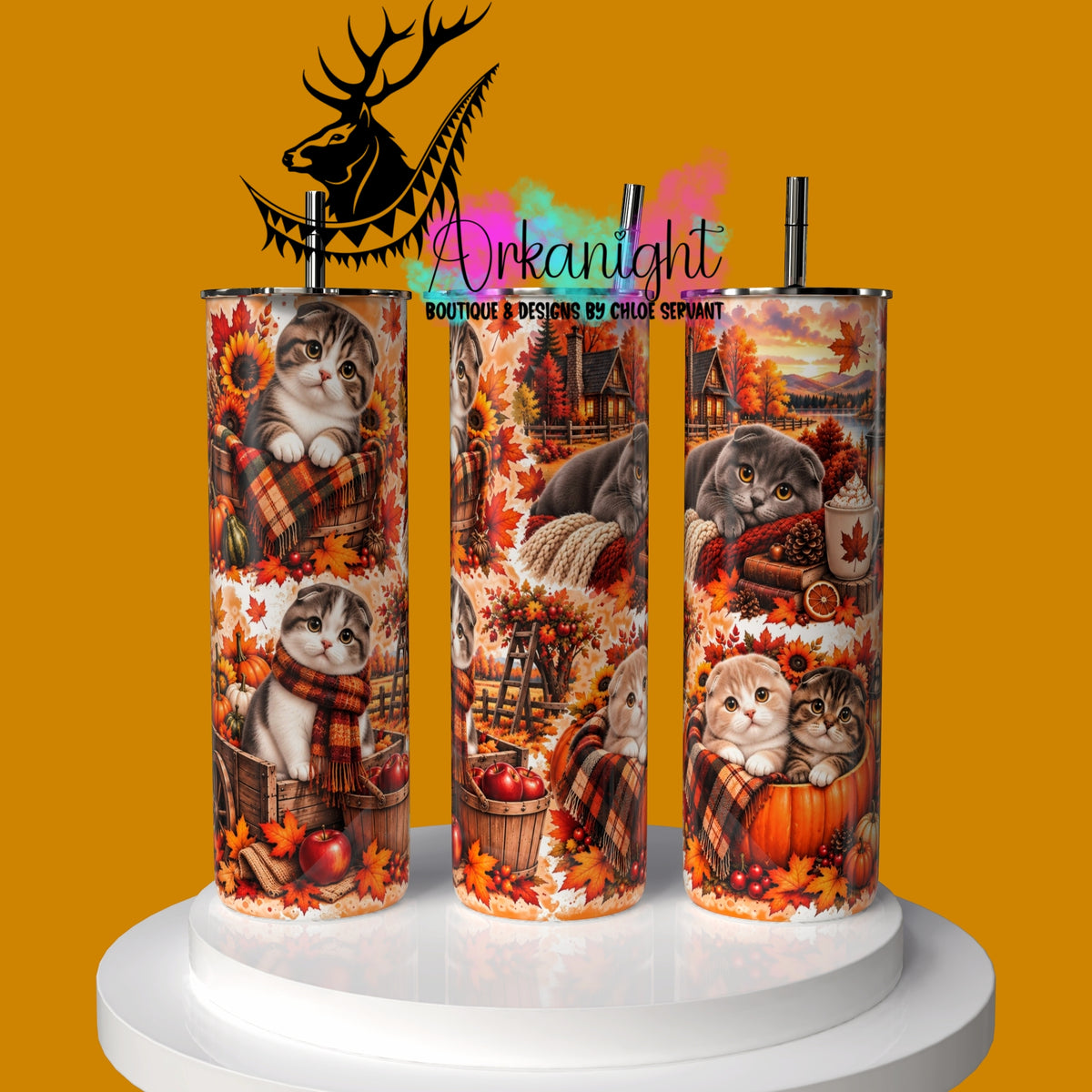 Gourde sur commande ♡ Collection Automne 2026 ♡ Chat Scottish Folds