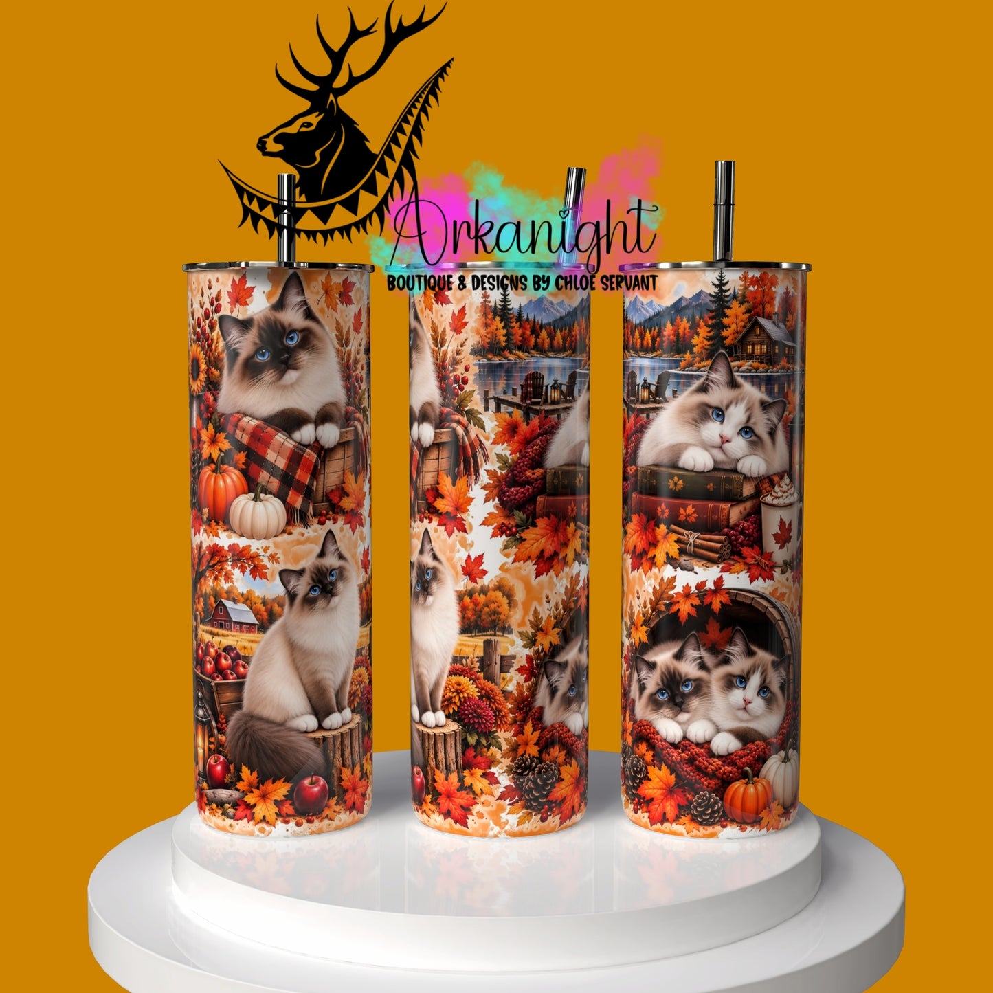 Gourde sur commande ♡ Collection Automne 2026 ♡ Chat Ragdoll