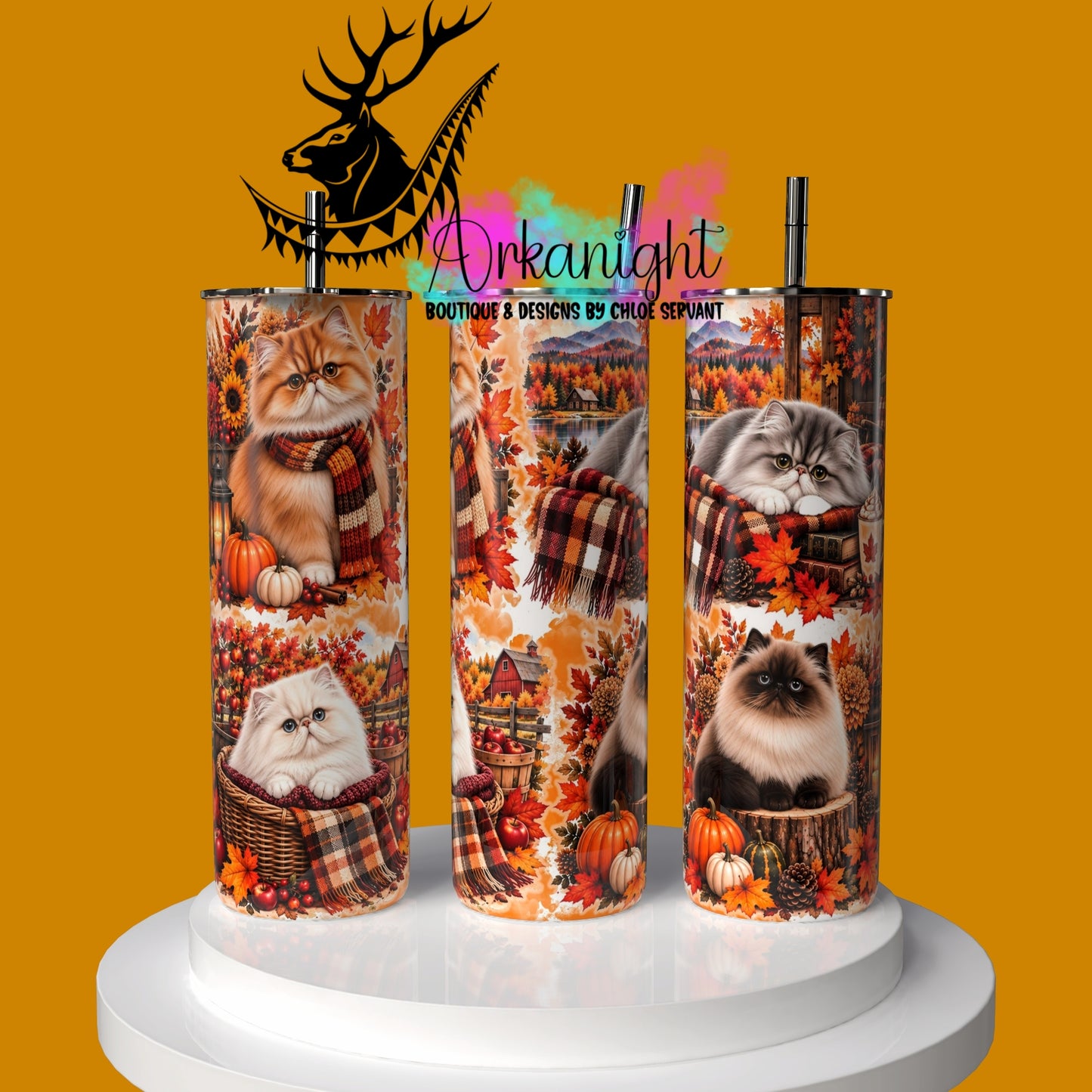 Gourde sur commande ♡ Collection Automne 2026 ♡ Chat Persan