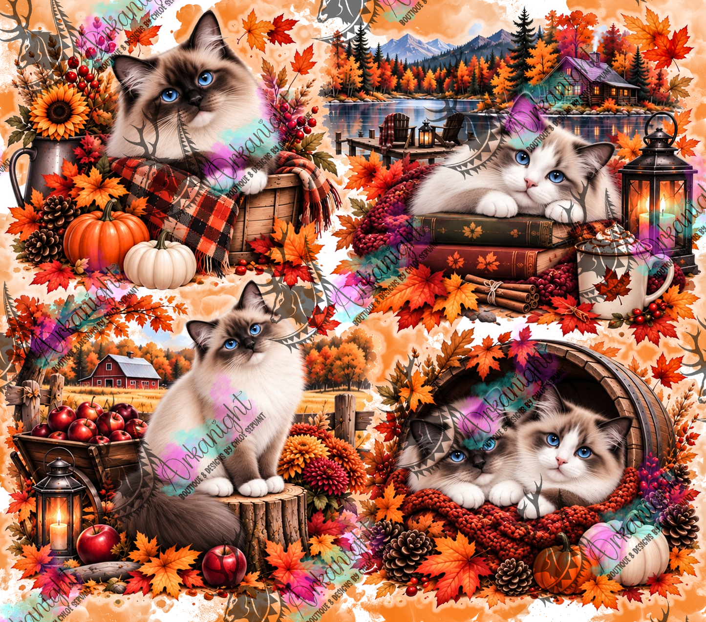 Numérique ♡Collection Automne 2026 ♡ Chat Ragdoll