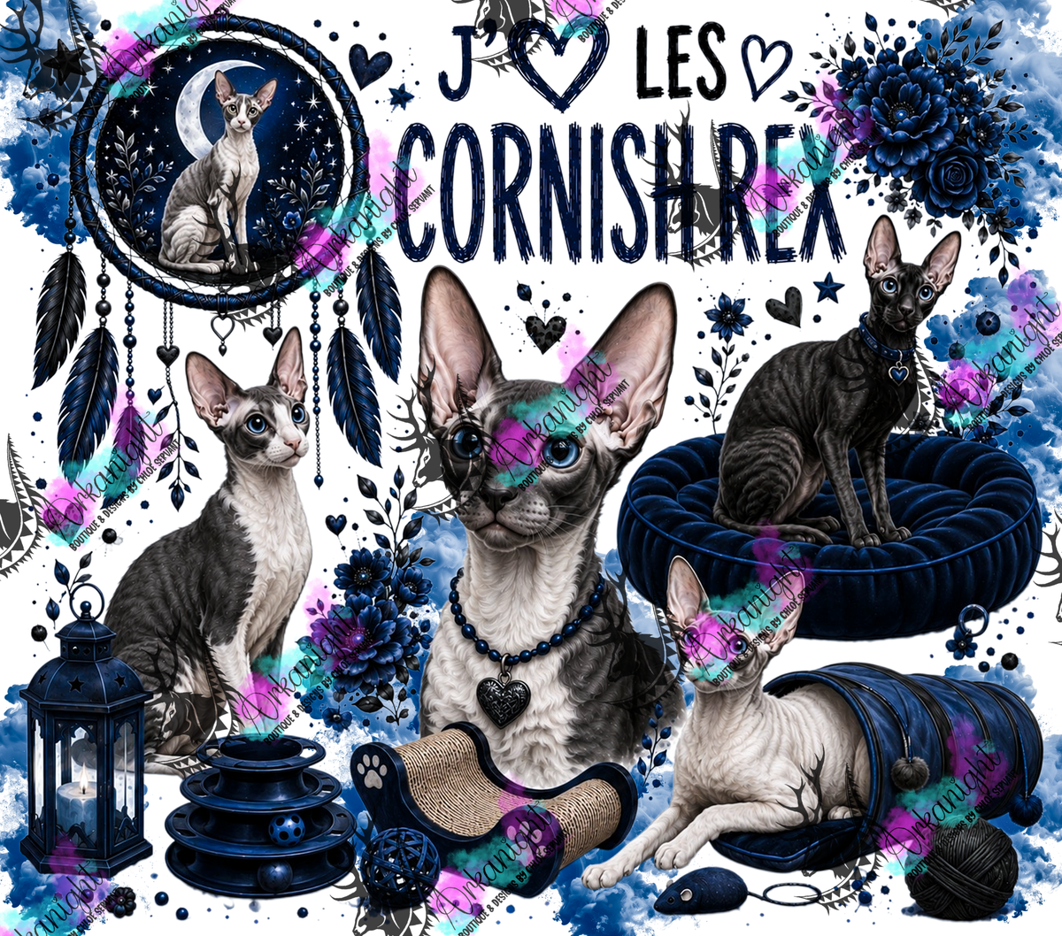 Numérique ♡Collection Boho 2026 ♡ Chats ♡ Cornish Rex