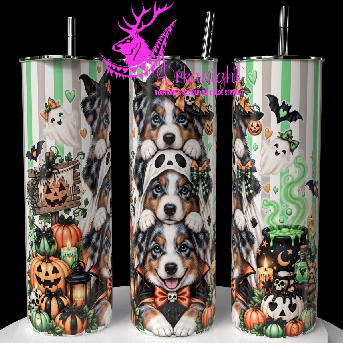 Gourde sur commande ♡ Collection   Halloween 2026 ♡ Trio D'animaux ♡ Chien Berger Australien Bleu Merle