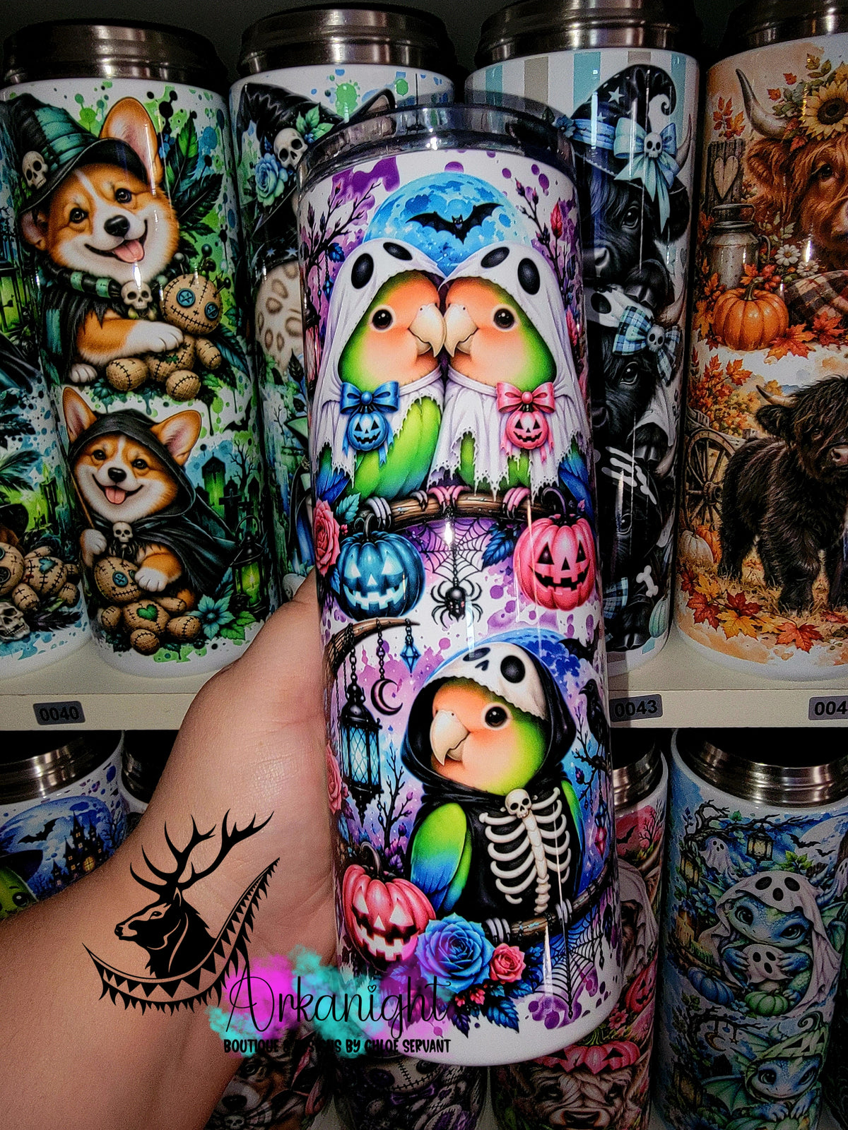 Gourde sur commande ♡ Collection   Halloween 2026 ♡ Animaux ♡ Inséparables