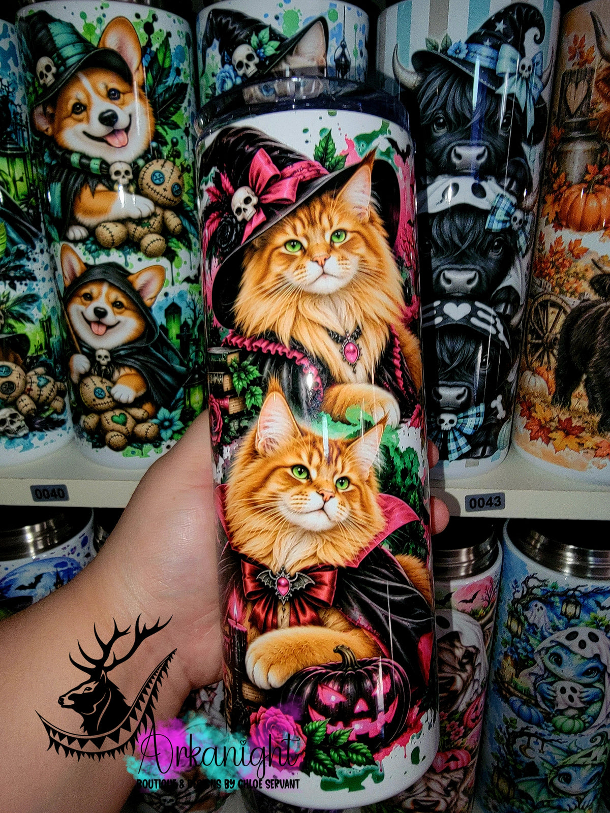 Gourde sur commande ♡ Collection   Halloween 2026 ♡ Chats ♡ Maine coon Roux