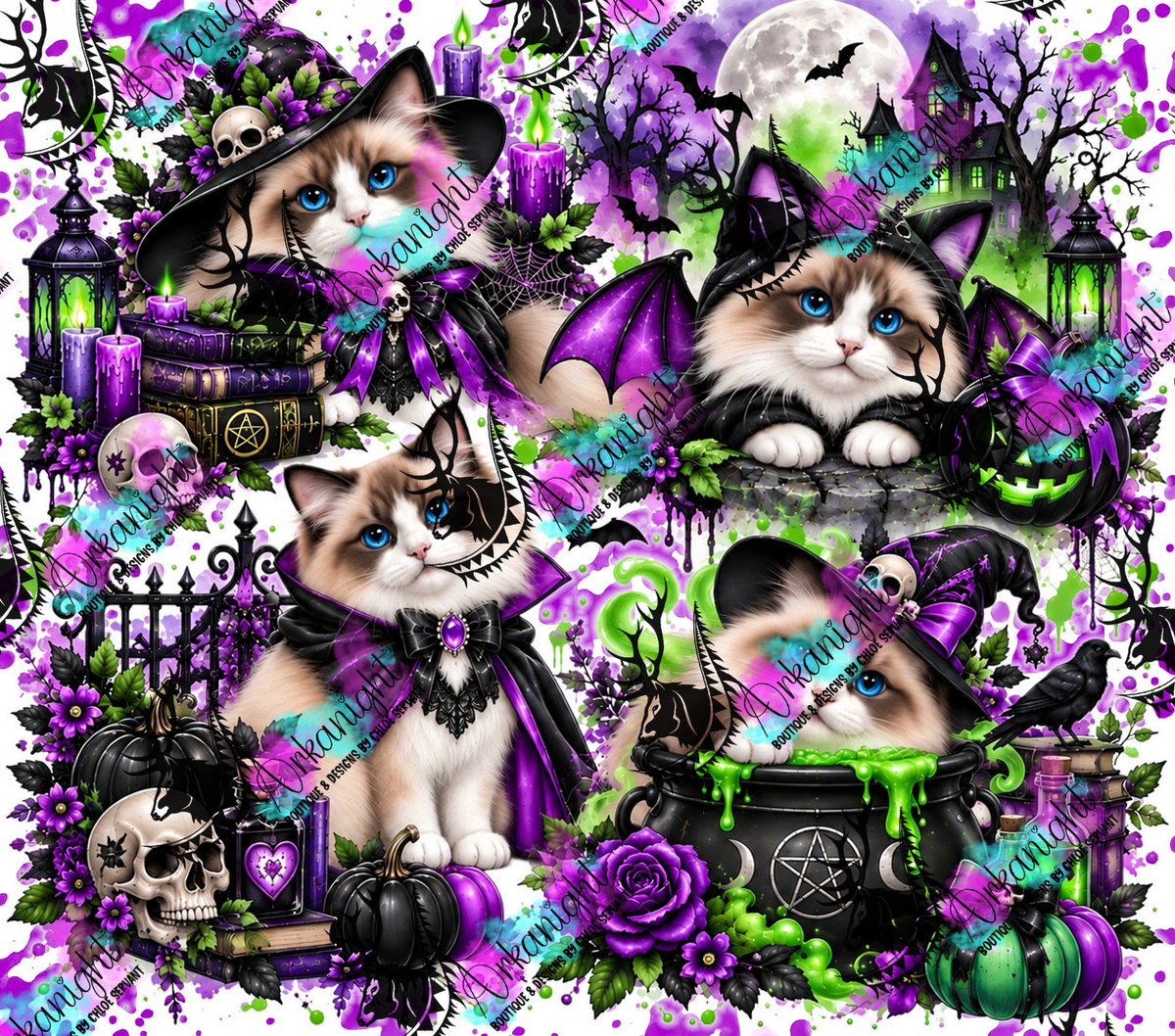 Numérique ♡Collection Halloween 2026 ♡ Chats ♡ Ragdoll