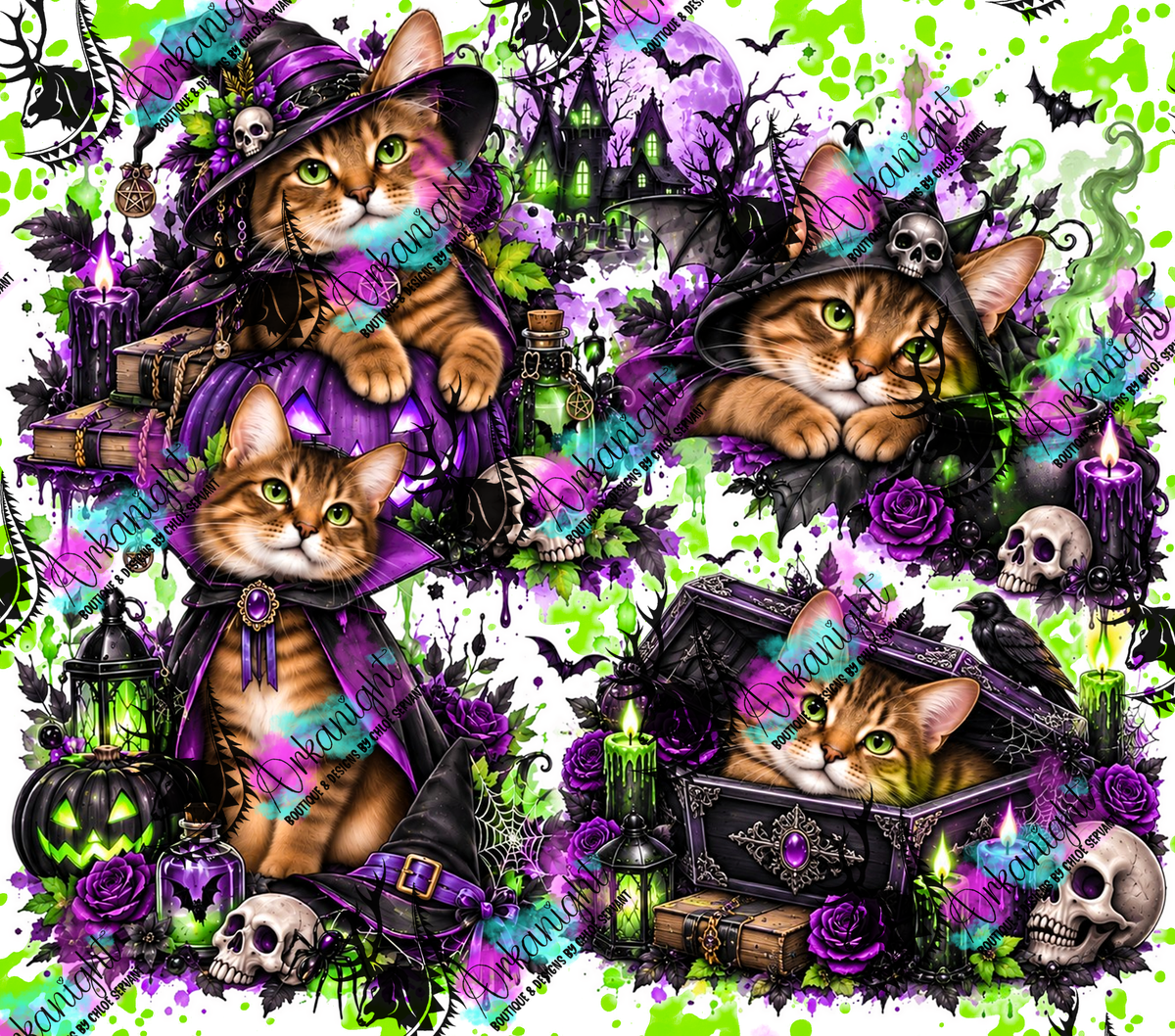 Numérique ♡Collection Halloween 2026 ♡ Chats ♡ Tabbie Brun