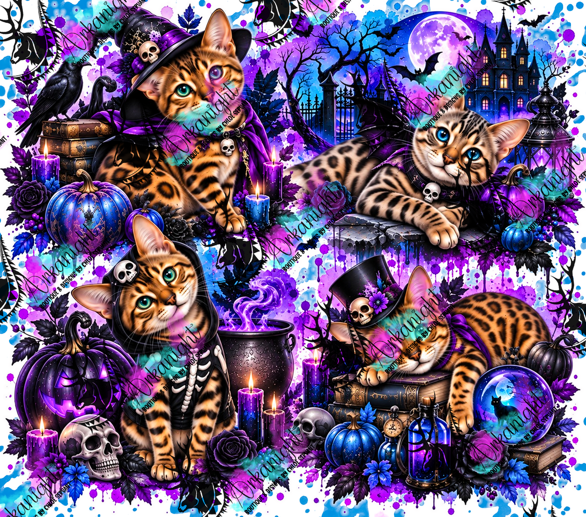 Numérique ♡Collection Halloween 2026 ♡ Chats ♡ Bengal