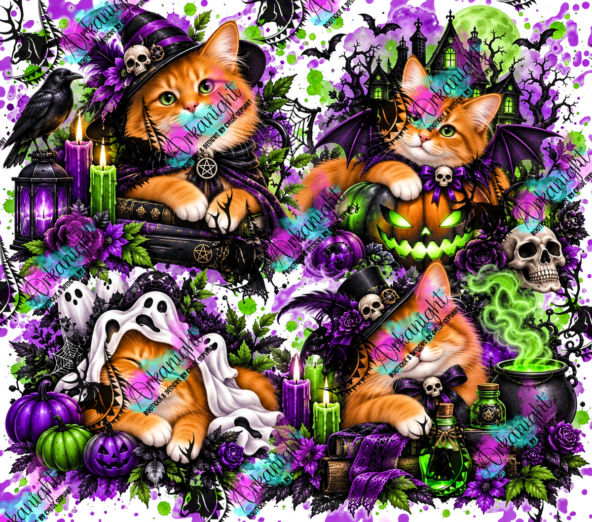 Numérique ♡Collection Halloween 2026 ♡ Chats ♡ Roux