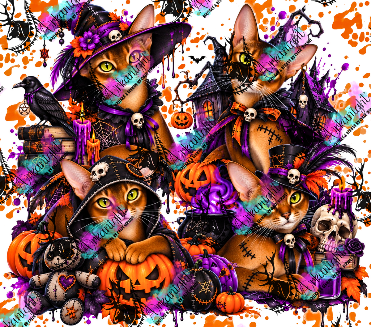 Numérique ♡Collection Halloween 2026 ♡ Chats ♡ Abyssin