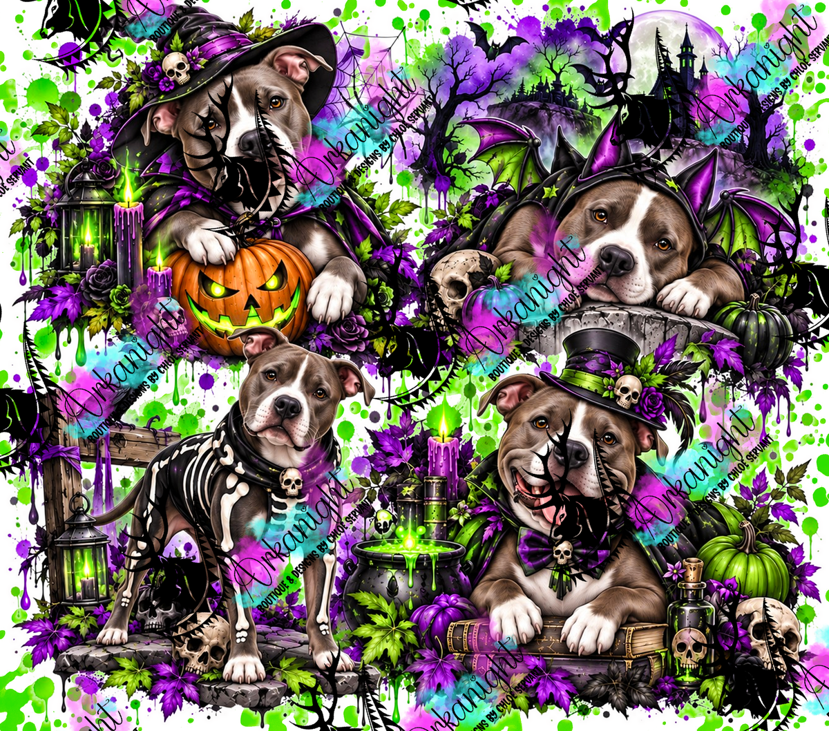 Numérique ♡Collection Halloween 2026 ♡ Chiens ♡ Pitbull