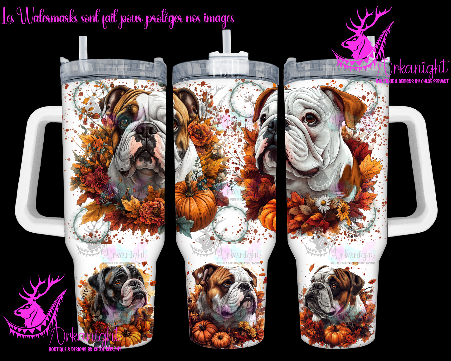 Numérique 40 oz - Autumn 2024 - English bulldog